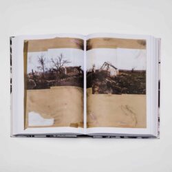 Red Horse - Sasha Kurmaz – Image 3