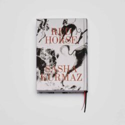 Red Horse - Sasha Kurmaz – Image 2