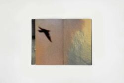 Les oiseaux - Lola Raban, Jean-René Etienne – Image 12
