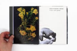 Wild Flowers - James Gallagher – Image 8