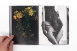 Wild Flowers - James Gallagher – Image 17