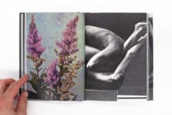 Wild Flowers - James Gallagher – Image 20