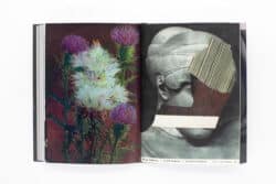 Wild Flowers - James Gallagher – Image 29