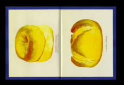 The Book of Bread Similé #2 – Image 3
